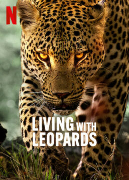 فيلم Living with Leopards 2024 مترجم اون لاين